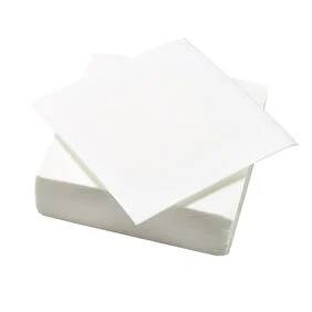 Serviette en papier  2 plis uni blanc x40