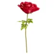 636511_F-1.webp