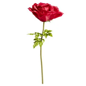 636511_F-1.webp 636511_F-1.webp