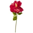 643029_F-1.webp
