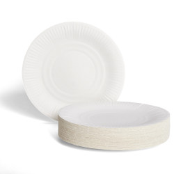Lot de 100 assiettes en carton blanc Ø23 cm