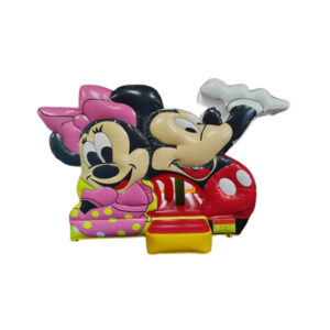 Location Structure Gonflable 5mx4.5mx3.75m ( 6/8 enfants)