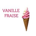 kit-consommable-pour-150-glaces-a-l-italienne-vanille-fraise.jpg